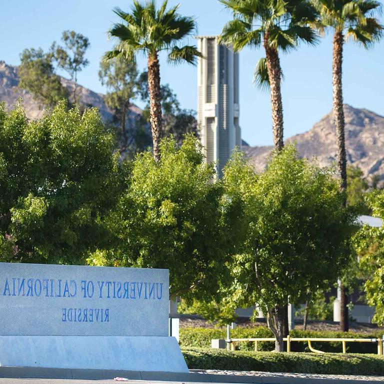 Background image of the one of the campus entrances with the University concrete signage.